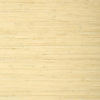 RAFFIA PALM T24065